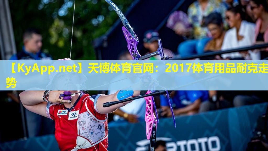 2017体育用品耐克走势