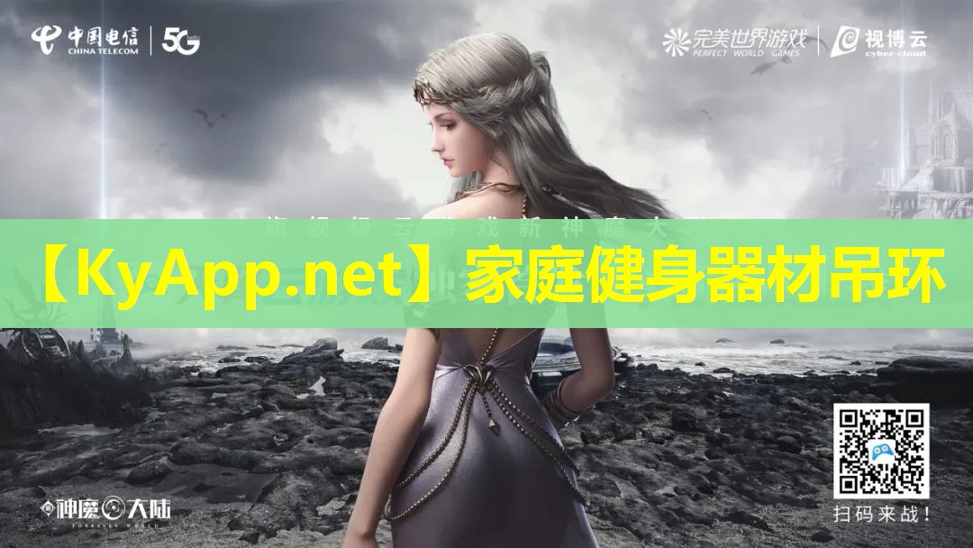 家庭健身器材吊环