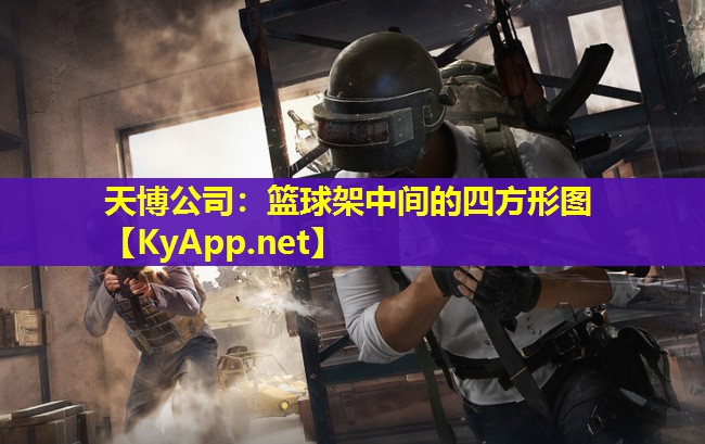 篮球架中间的四方形图