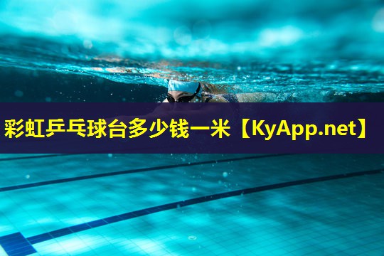 彩虹乒乓球台多少钱一米