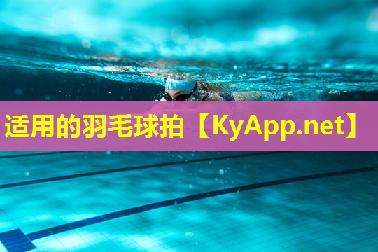 适用的羽毛球拍