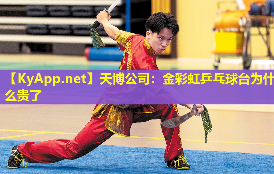 金彩虹乒乓球台为什么贵了
